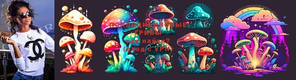 бошки Абаза