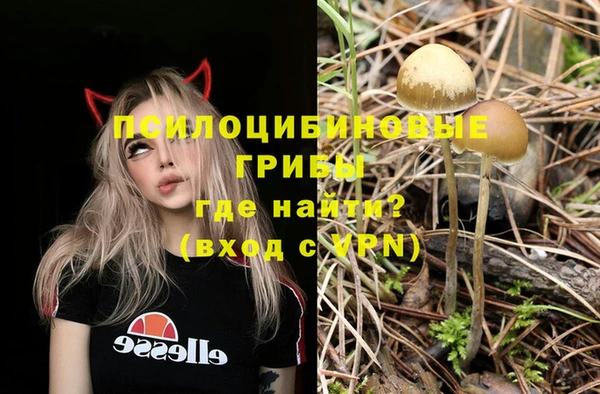 ПСИЛОЦИБИНОВЫЕ ГРИБЫ Абинск