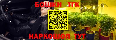 скорость Гусь-Хрустальный