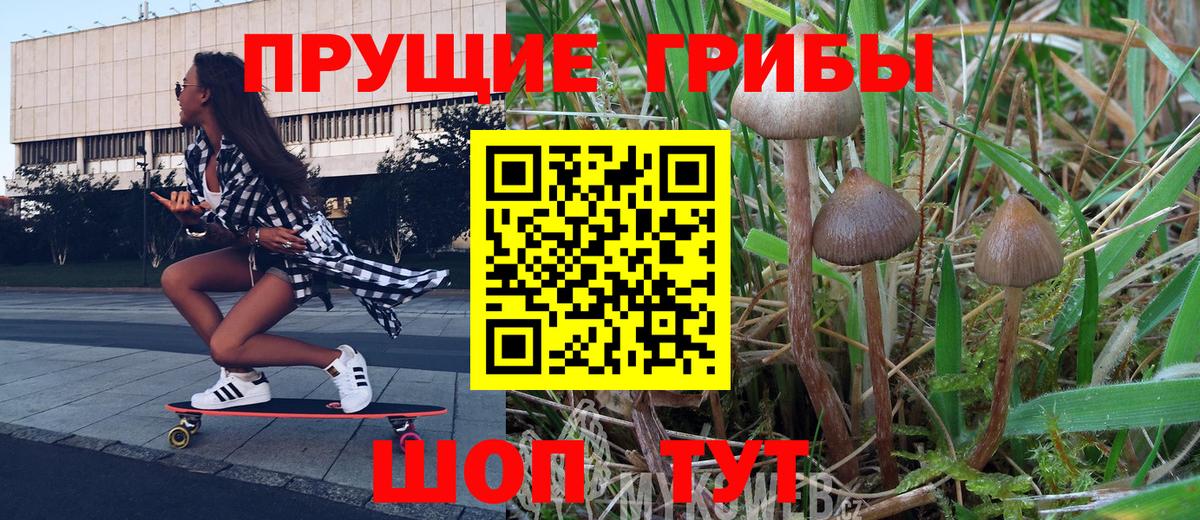 Галлюциногенные грибы прущие грибы Новотроицк