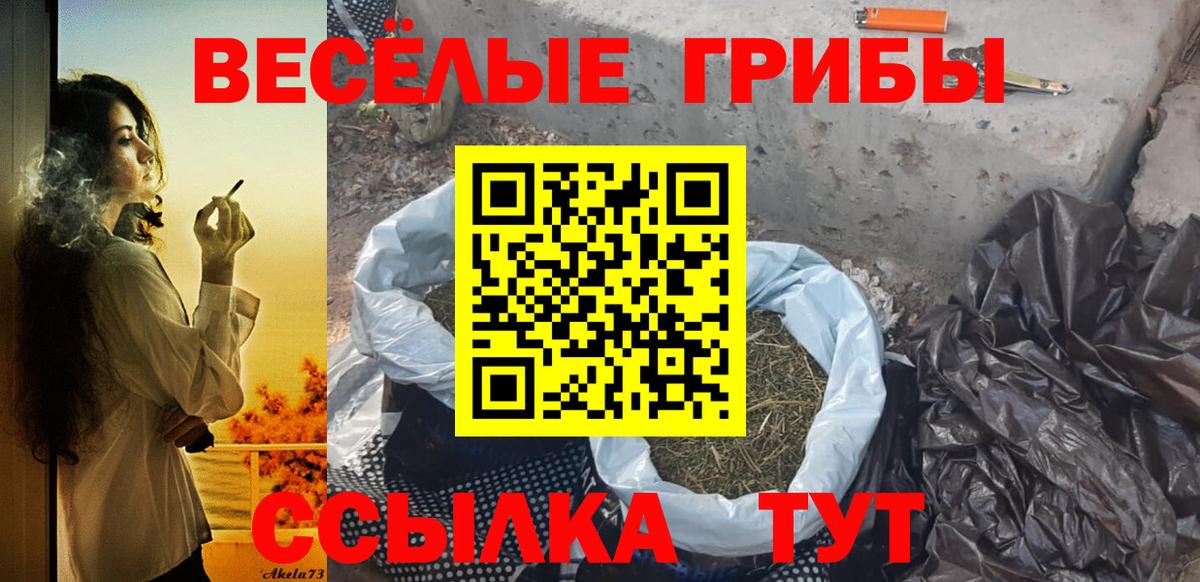 Галлюциногенные грибы мицелий Новотроицк